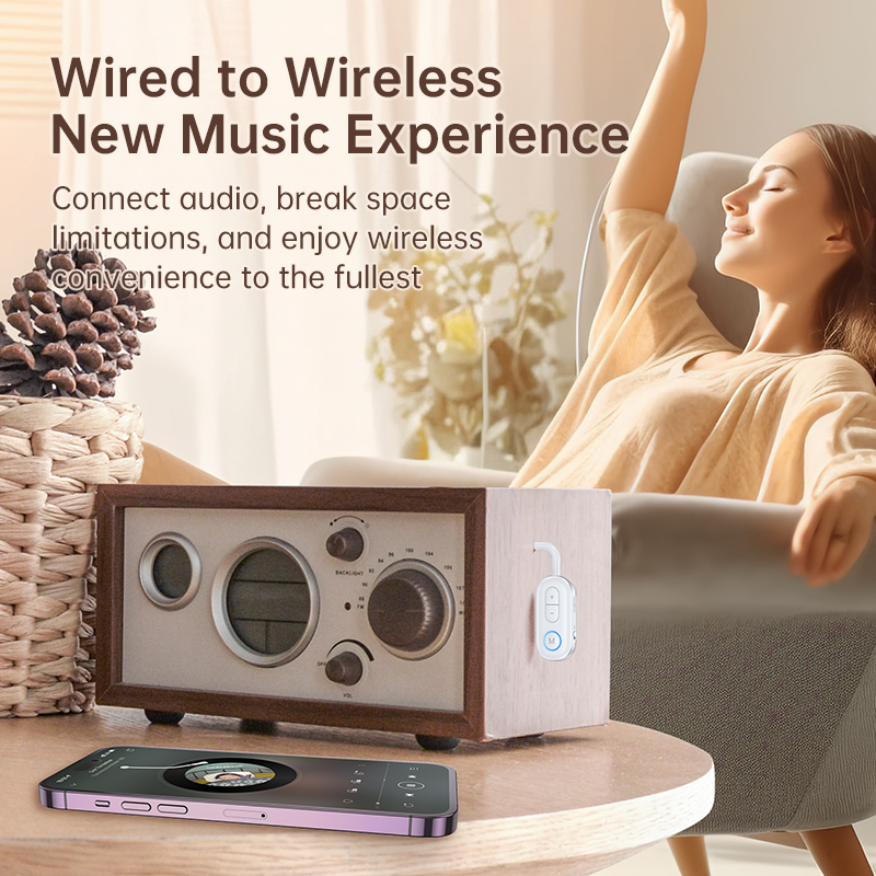 Bluetooth 5.3 Audio Transmitte - Desk Hifi Setup のレビューと価格